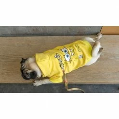 Fresh_pawz Pet Products SpongeBob SquarePants Big Face Pet Hoodie