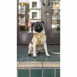Fresh_pawz Pet Products SpongeBob SquarePants And Friends Adjustable Mesh Pet Harness