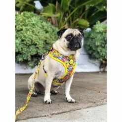 Fresh_pawz Pet Products SpongeBob SquarePants And Friends Adjustable Mesh Pet Harness